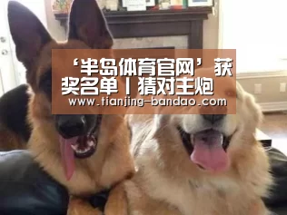 半岛体育直播