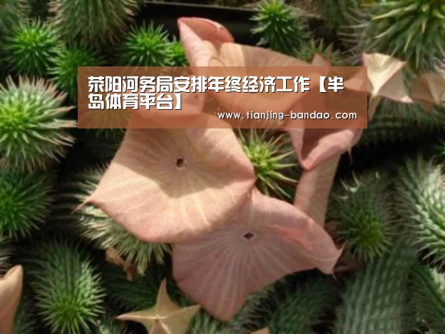 半岛体育app下载